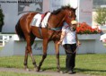 LE PAYDA, 5